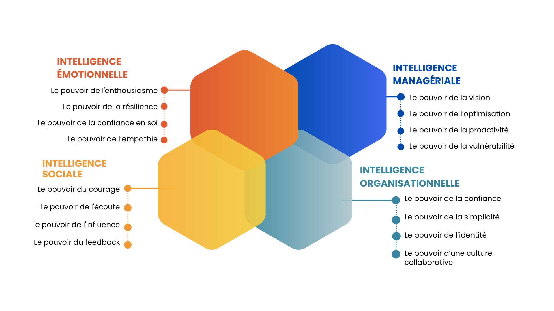 Les quatre dimensions du leadership : intelligences émotionnelle, sociale, managériale et organisationnelle.
